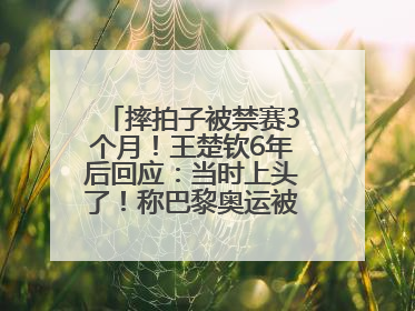 摔拍子被禁赛3个月！王楚钦6年后回应：当时上头了！称巴黎奥运被孙颖莎带着打，搭档8年“一个眼神就能懂”