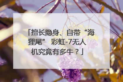 擅长隐身、自带“海狸尾” 彩虹-7无人机究竟有多牛？