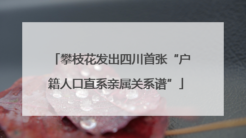 攀枝花发出四川首张“户籍人口直系亲属关系谱”