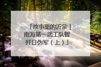 故事里的沂蒙｜南海第一武工队智歼日伪军（上）