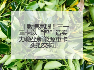 数据亮眼！三一重卡以“智”造实力稳坐新能源重卡头把交椅