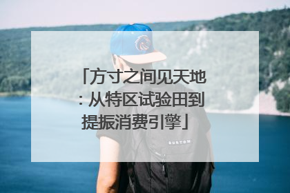 方寸之间见天地：从特区试验田到提振消费引擎