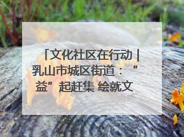 文化社区在行动｜乳山市城区街道：“益”起赶集 绘就文化社区新图景