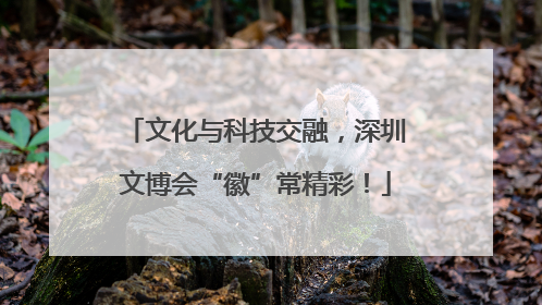 文化与科技交融，深圳文博会“徽”常精彩！
