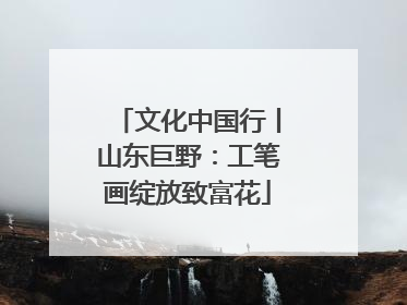 文化中国行丨山东巨野：工笔画绽放致富花