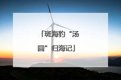 斑海豹“汤圆”归海记