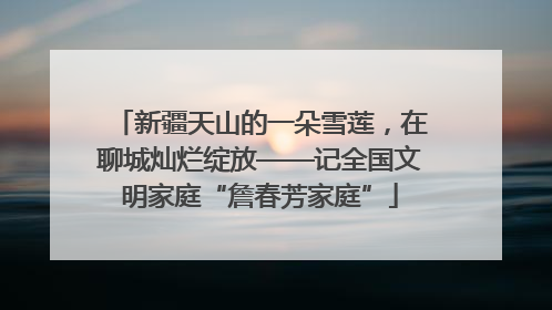 新疆天山的一朵雪莲，在聊城灿烂绽放——记全国文明家庭“詹春芳家庭”