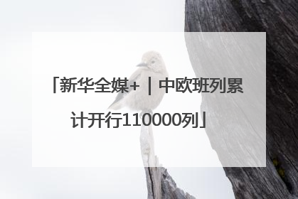 新华全媒+｜中欧班列累计开行110000列