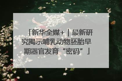 新华全媒+｜最新研究揭示哺乳动物胚胎早期器官发育“密码”