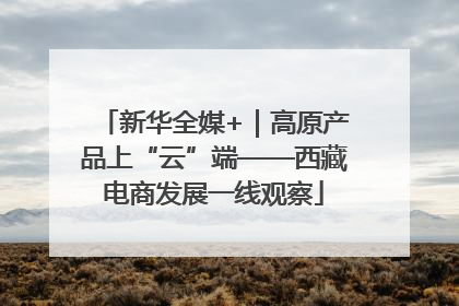 新华全媒+｜高原产品上“云”端——西藏电商发展一线观察