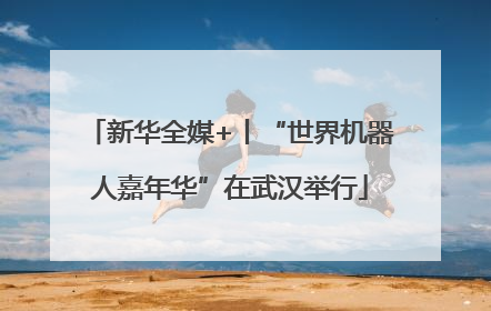 新华全媒+丨“世界机器人嘉年华”在武汉举行