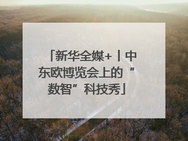 新华全媒+丨中东欧博览会上的“数智”科技秀