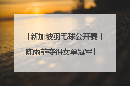 新加坡羽毛球公开赛丨陈雨菲夺得女单冠军