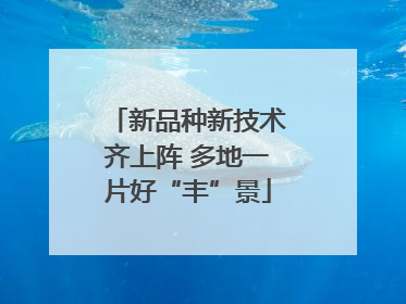 新品种新技术齐上阵 多地一片好“丰”景
