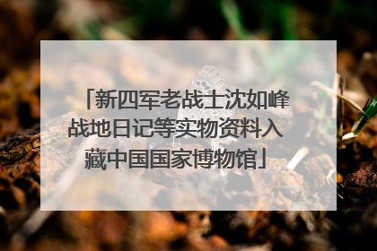 新四军老战士沈如峰战地日记等实物资料入藏中国国家博物馆