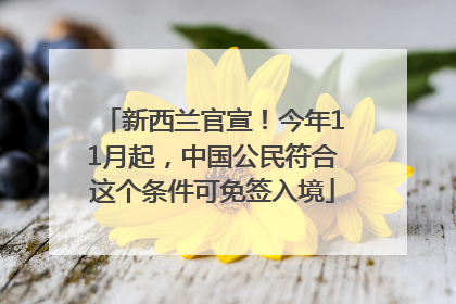 新西兰官宣！今年11月起，中国公民符合这个条件可免签入境
