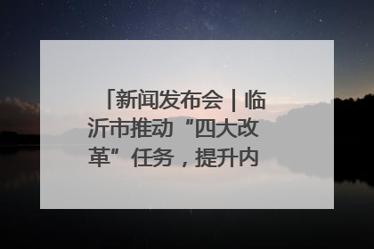 新闻发布会｜临沂市推动“四大改革”任务，提升内部审计监督效能