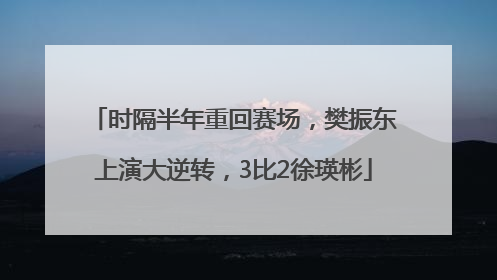 时隔半年重回赛场，樊振东上演大逆转，3比2徐瑛彬