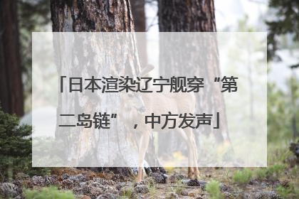 日本渲染辽宁舰穿“第二岛链”，中方发声