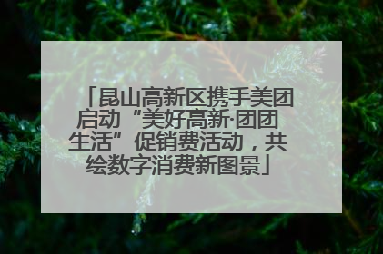 昆山高新区携手美团启动“美好高新·团团生活”促销费活动，共绘数字消费新图景