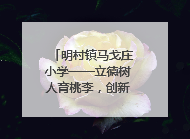 明村镇马戈庄小学——立德树人育桃李，创新发展谱华章