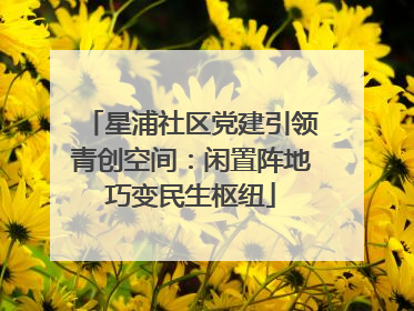 星浦社区党建引领青创空间：闲置阵地巧变民生枢纽