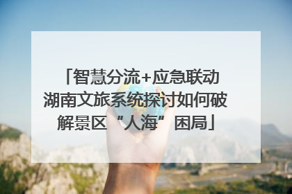 智慧分流+应急联动 湖南文旅系统探讨如何破解景区“人海”困局