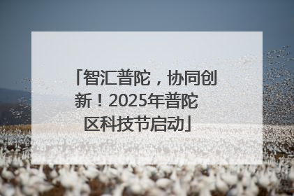 智汇普陀，协同创新！2025年普陀区科技节启动