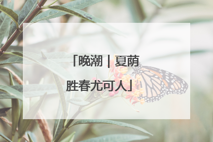 晚潮｜夏荫胜春尤可人
