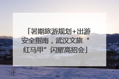 暑期旅游规划+出游安全指南，武汉文旅“红马甲”闪耀高招会