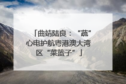 曲靖陆良：“蔬”心电护航粤港澳大湾区“菜篮子”