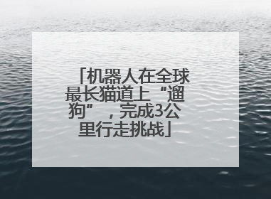 机器人在全球最长猫道上“遛狗”，完成3公里行走挑战