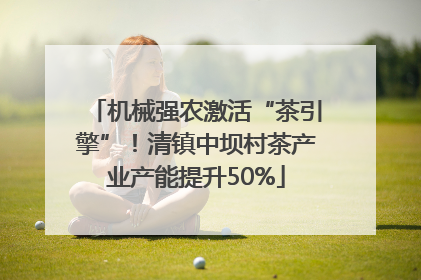 机械强农激活“茶引擎”！清镇中坝村茶产业产能提升50%