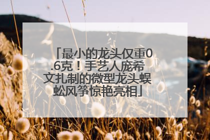 最小的龙头仅重0.6克！手艺人庞希文扎制的微型龙头蜈蚣风筝惊艳亮相