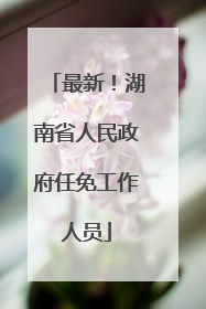 最新！湖南省人民政府任免工作人员