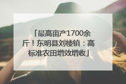 最高亩产1700余斤！东明县刘楼镇：高标准农田增效增收