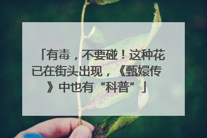 有毒，不要碰！这种花已在街头出现，《甄嬛传》中也有“科普”