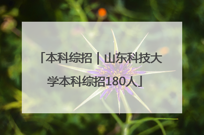 本科综招｜山东科技大学本科综招180人