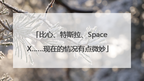 比心、特斯拉、SpaceX……现在的情况有点微妙