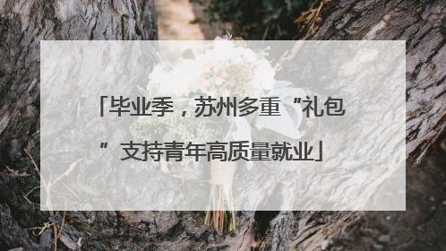 毕业季，苏州多重“礼包”支持青年高质量就业