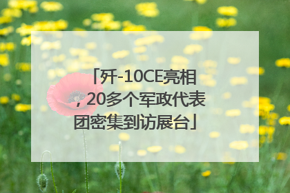 歼-10CE亮相，20多个军政代表团密集到访展台