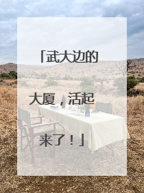 武大边的大厦，活起来了！