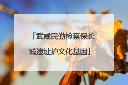 武威民勤检察保长城遗址护文化基因