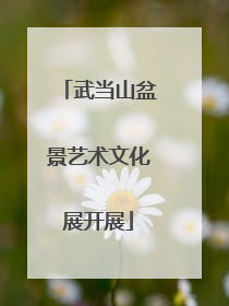 武当山盆景艺术文化展开展
