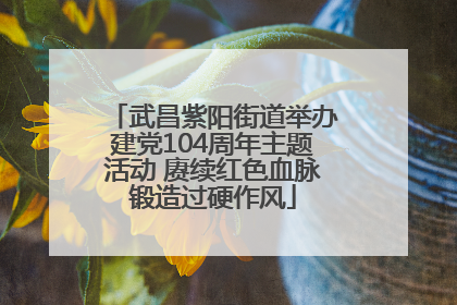 武昌紫阳街道举办建党104周年主题活动 赓续红色血脉锻造过硬作风