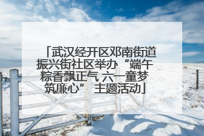 武汉经开区邓南街道振兴街社区举办“端午粽香飘正气 六一童梦筑廉心” 主题活动