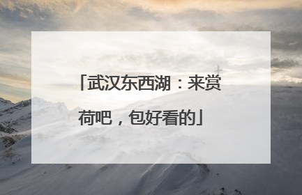 武汉东西湖：来赏荷吧，包好看的