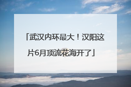 武汉内环最大！汉阳这片6月顶流花海开了