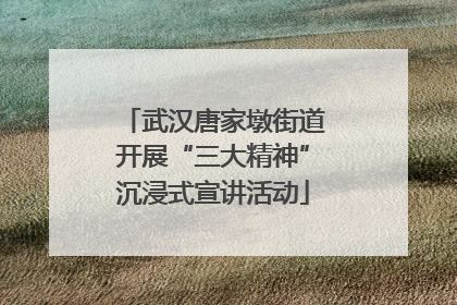 武汉唐家墩街道开展“三大精神”沉浸式宣讲活动