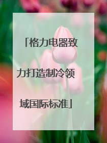 格力电器致力打造制冷领域国际标准
